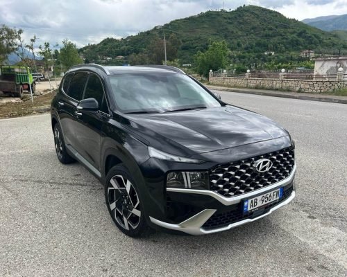 Taxi Saranda Shehaj (9)